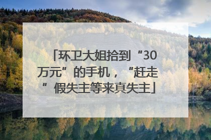 环卫大姐拾到“30万元”的手机，“赶走”假失主等来真失主