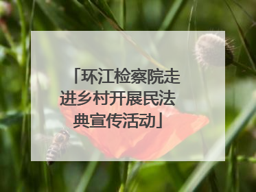 环江检察院走进乡村开展民法典宣传活动