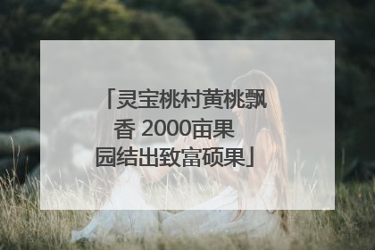 灵宝桃村黄桃飘香 2000亩果园结出致富硕果