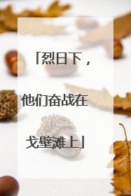 烈日下，他们奋战在戈壁滩上