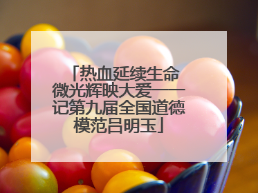 热血延续生命 微光辉映大爱一一记第九届全国道德模范吕明玉