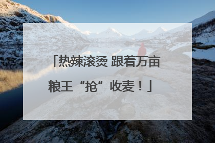 热辣滚烫 跟着万亩粮王“抢”收麦!
