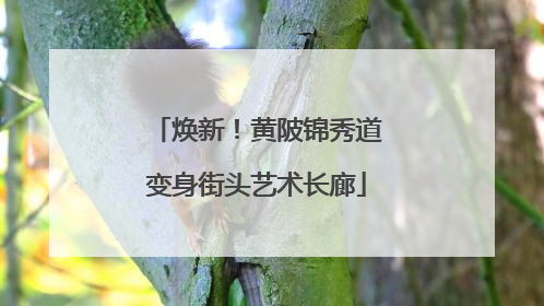 焕新！黄陂锦秀道变身街头艺术长廊