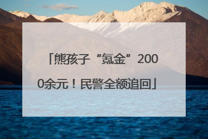 熊孩子“氪金”2000余元！民警全额追回