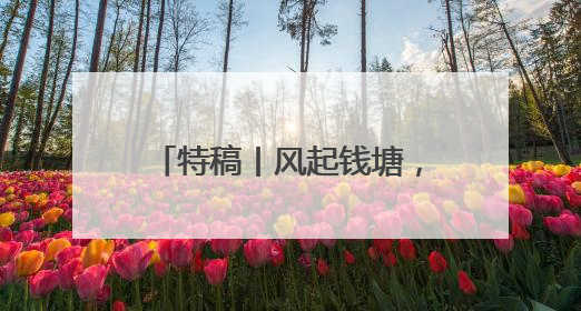 特稿丨风起钱塘，浙台共绘“新质生产力”发展蓝图