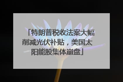 特朗普税收法案大幅削减光伏补贴，美国太阳能股集体崩盘