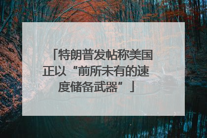 特朗普发帖称美国正以“前所未有的速度储备武器”