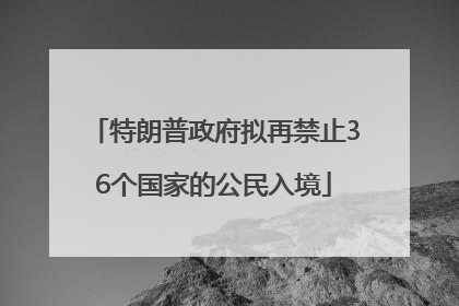 特朗普政府拟再禁止36个国家的公民入境