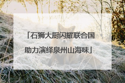 石狮大厨闪耀联合国 助力演绎泉州山海味