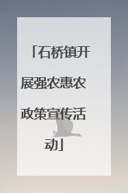 石桥镇开展强农惠农政策宣传活动