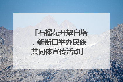 石榴花开耀白塔，新街口举办民族共同体宣传活动