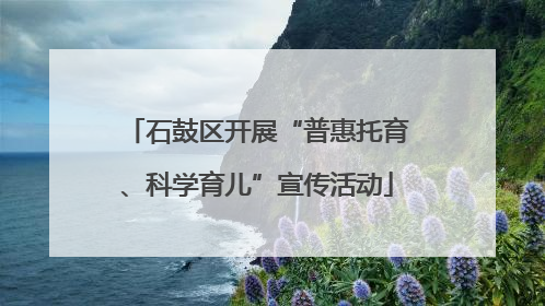 石鼓区开展“普惠托育、科学育儿”宣传活动