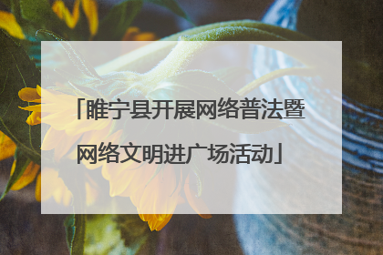 睢宁县开展网络普法暨网络文明进广场活动