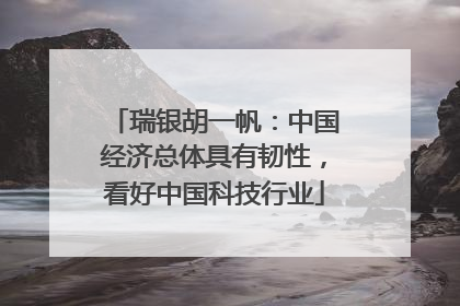 瑞银胡一帆：中国经济总体具有韧性，看好中国科技行业