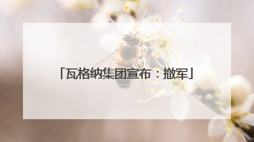 瓦格纳集团宣布：撤军