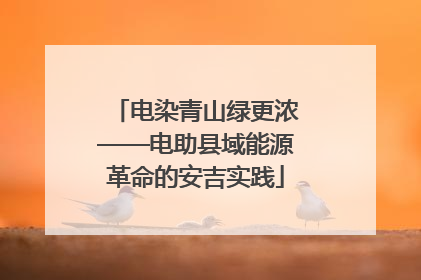 电染青山绿更浓——电助县域能源革命的安吉实践