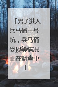 男子进入兵马俑三号坑，兵马俑受损等情况正在调查中