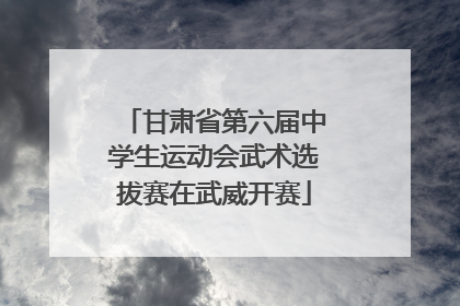 甘肃省第六届中学生运动会武术选拔赛在武威开赛