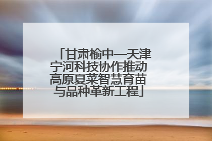 甘肃榆中—天津宁河科技协作推动高原夏菜智慧育苗与品种革新工程