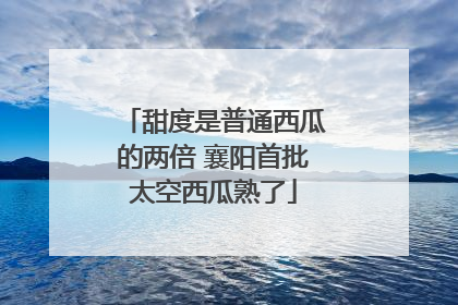 甜度是普通西瓜的两倍 襄阳首批太空西瓜熟了