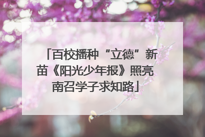 百校播种“立德”新苗《阳光少年报》照亮南召学子求知路