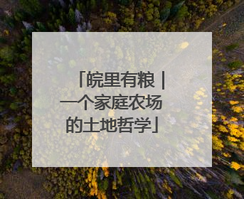 皖里有粮｜一个家庭农场的土地哲学