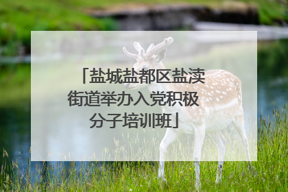 盐城盐都区盐渎街道举办入党积极分子培训班