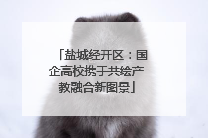 盐城经开区：国企高校携手共绘产教融合新图景