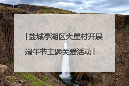 盐城亭湖区大星村开展端午节主题关爱活动
