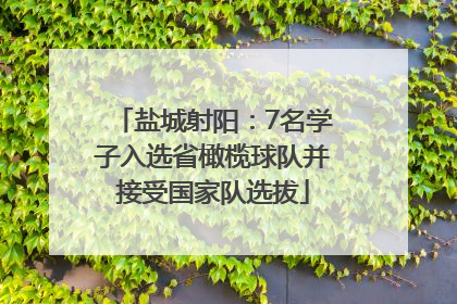 盐城射阳：7名学子入选省橄榄球队并接受国家队选拔