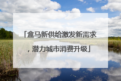 盒马新供给激发新需求，潜力城市消费升级