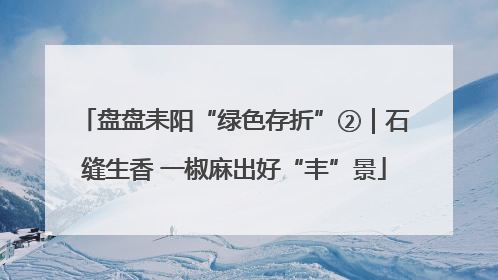盘盘耒阳“绿色存折”②｜石缝生香 一椒麻出好“丰”景