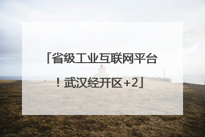省级工业互联网平台！武汉经开区+2