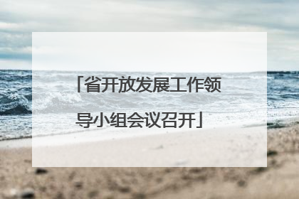 省开放发展工作领导小组会议召开