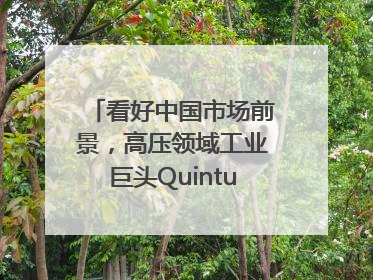 看好中国市场前景，高压领域工业巨头Quintus科技深化本土策略，构建全方位服务亚太区总部