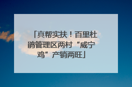 真帮实扶！百里杜鹃管理区两村“威宁鸡”产销两旺