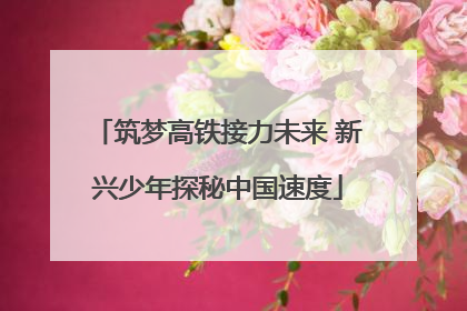 筑梦高铁接力未来 新兴少年探秘中国速度