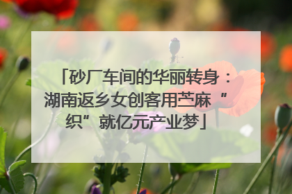 砂厂车间的华丽转身：湖南返乡女创客用苎麻“织”就亿元产业梦