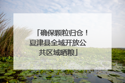 确保颗粒归仓！夏津县全域开放公共区域晒粮