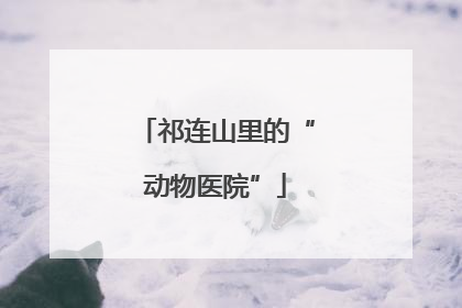 祁连山里的“动物医院”
