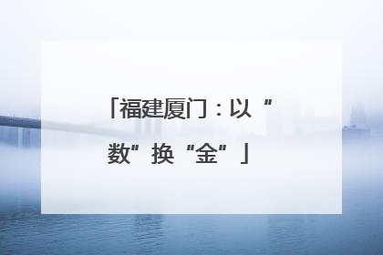 福建厦门：以“数”换“金”