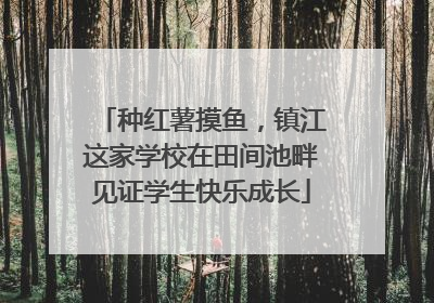 种红薯摸鱼，镇江这家学校在田间池畔见证学生快乐成长