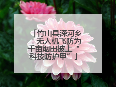 竹山县深河乡：无人机飞防为千亩烟田披上“科技防护甲”