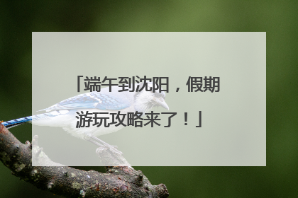 端午到沈阳，假期游玩攻略来了！
