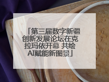 第三届数字新疆创新发展论坛在克拉玛依开幕 共绘AI赋能新图景