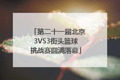 第二十一届北京3VS3街头篮球挑战赛圆满落幕