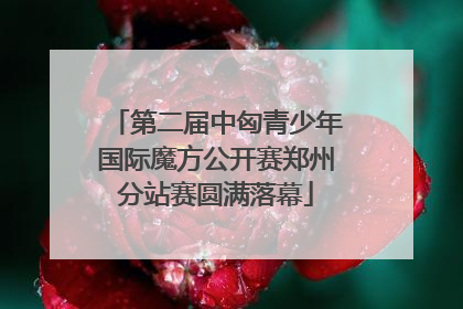 第二届中匈青少年国际魔方公开赛郑州分站赛圆满落幕
