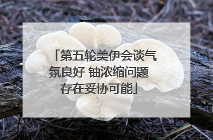 第五轮美伊会谈气氛良好 铀浓缩问题存在妥协可能