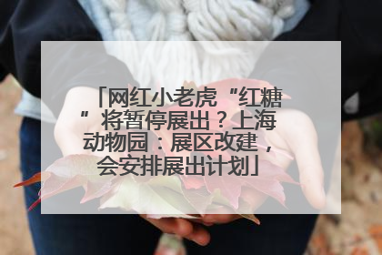 网红小老虎“红糖”将暂停展出？上海动物园：展区改建，会安排展出计划