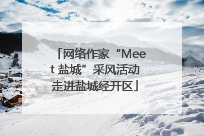 网络作家“Meet 盐城”采风活动走进盐城经开区
